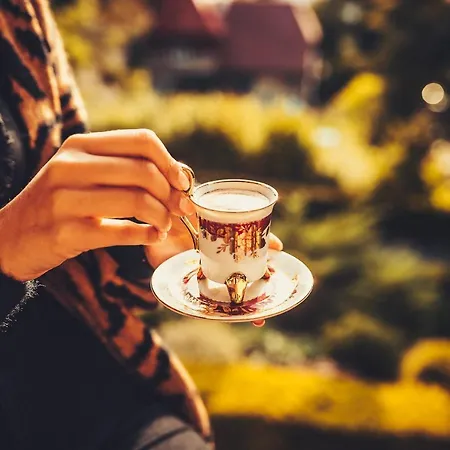 Barbara - Proharmonia 4* Lądek-Zdrój