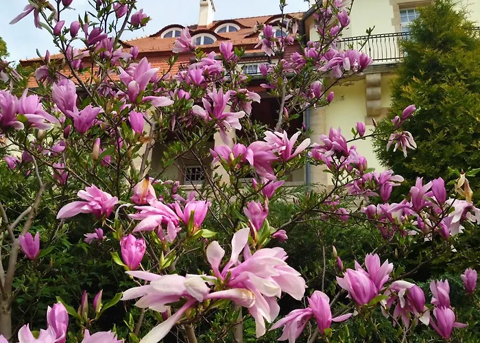 Barbara Zdroj Lądek-Zdrój